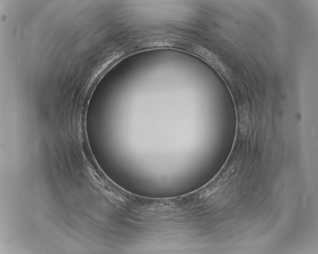 X0000075360386200609291506