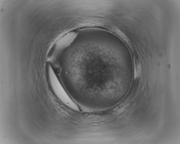 X0000075360387200609291506