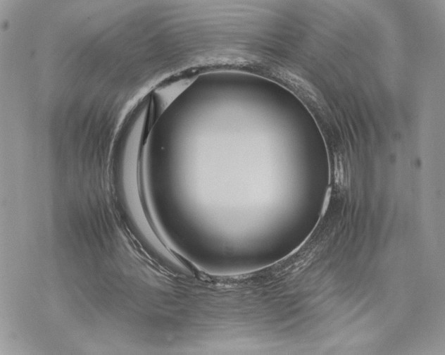 X0000075360388200609291506