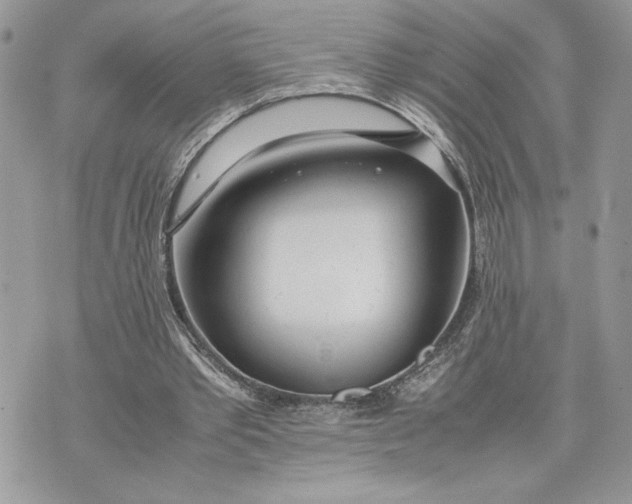 X0000075360389200609291506