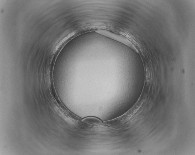 X0000075360390200609291506