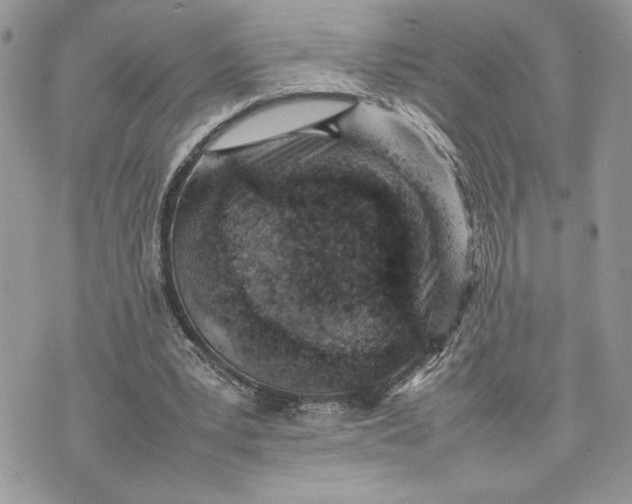 X0000075360391200609291506