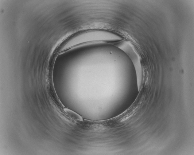 X0000075360392200609291506