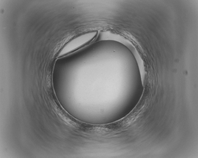 X0000075360393200609291506