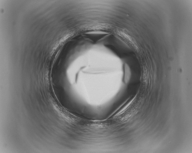 X0000075360394200609291506