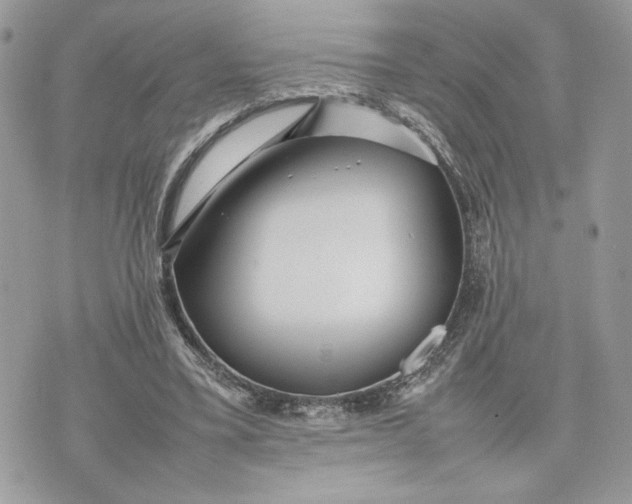 X0000075360395200609291506