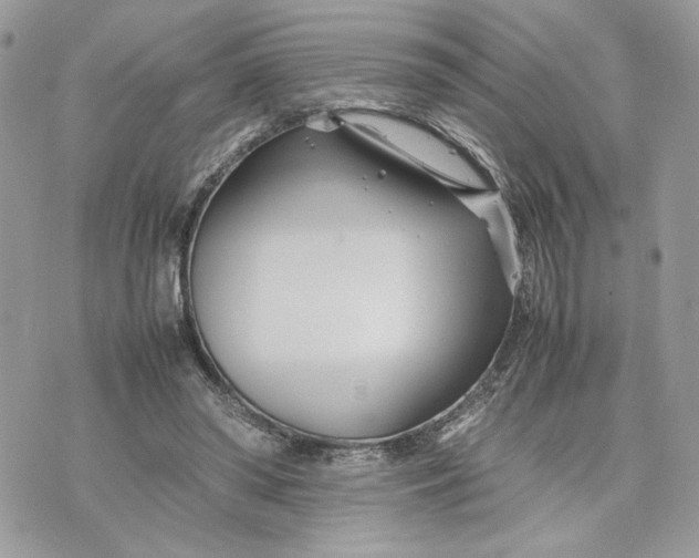 X0000075360398200609291506