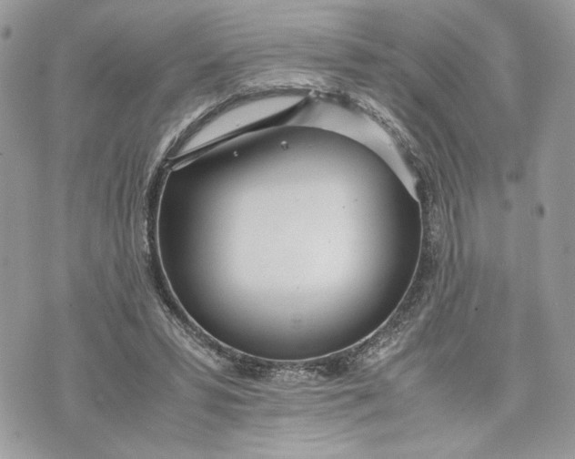 X0000075360399200609291506