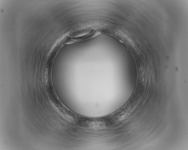 X0000075360400200609291506