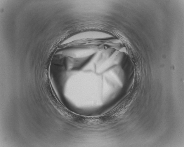 X0000075360401200609291506