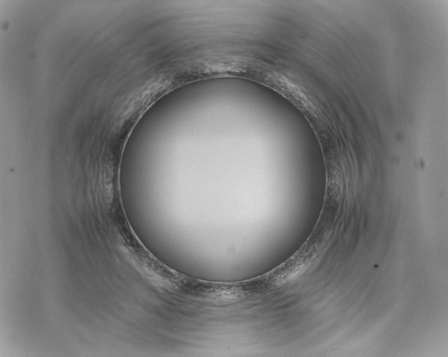 X0000075360402200609291506