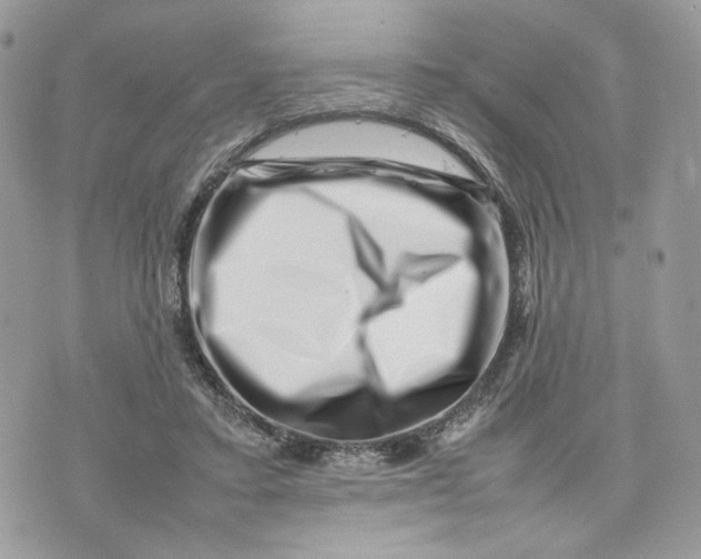 X0000075360403200609291506