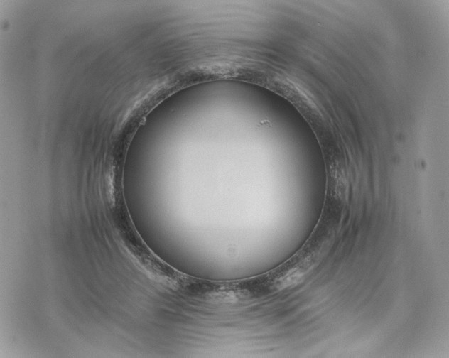 X0000075360404200609291506