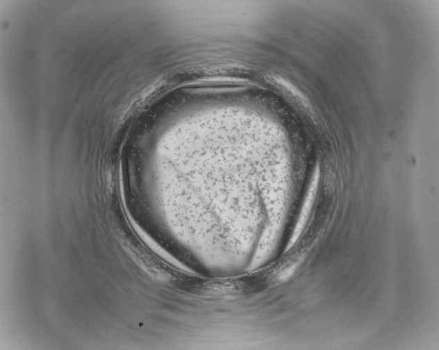 X0000075360405200609291506