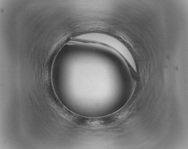 X0000075360407200609291506