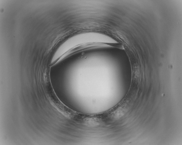 X0000075360408200609291506