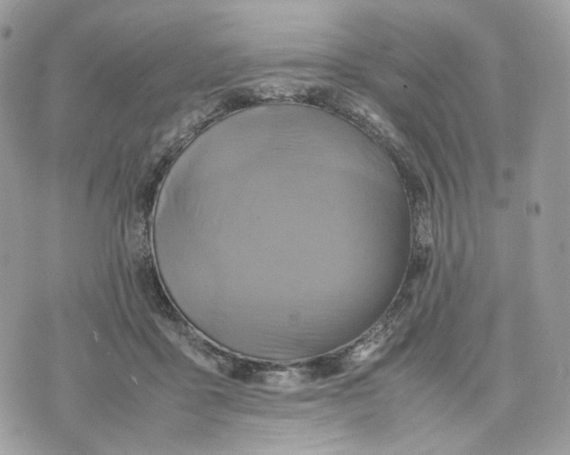 X0000075360411200609291506