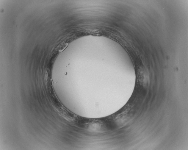 X0000075360412200609291506