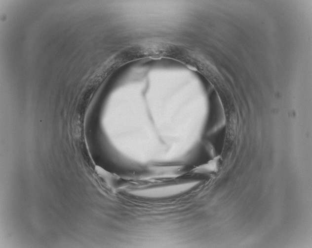 X0000075360413200609291506