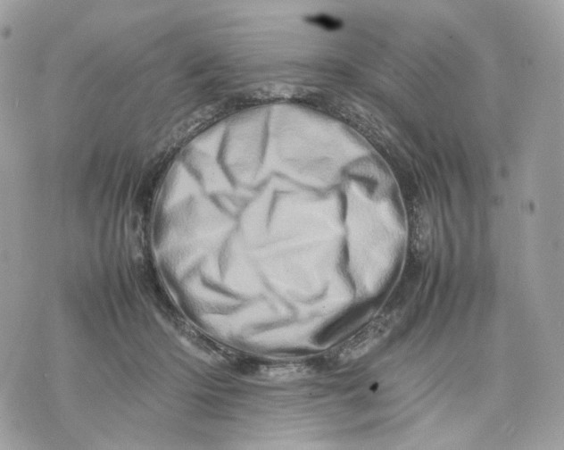 X0000075360414200609291506