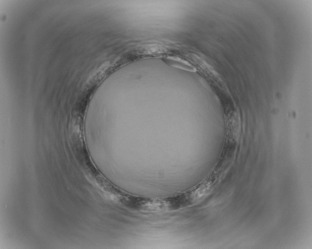 X0000075360415200609291506