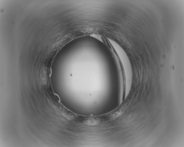 X0000075360416200609291506