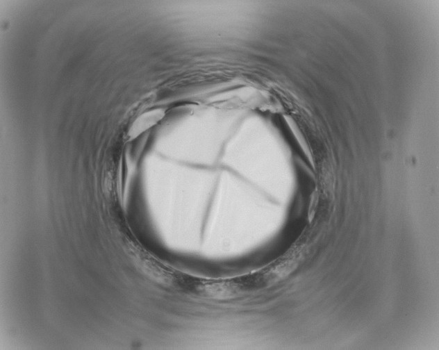 X0000075360417200609291506