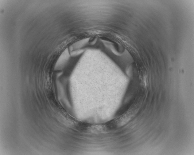 X0000075360418200609291506