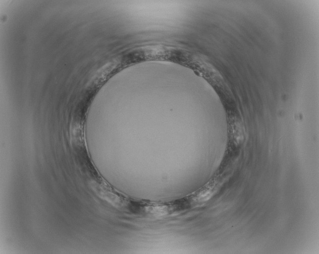 X0000075360419200609291506