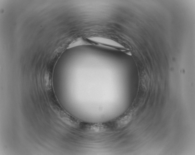 X0000075360420200609291506