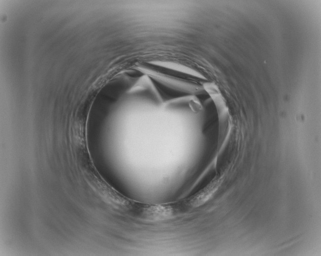 X0000075360421200609291506