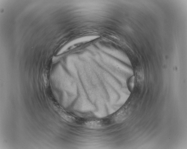 X0000075360422200609291506