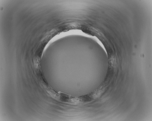 X0000075360423200609291506