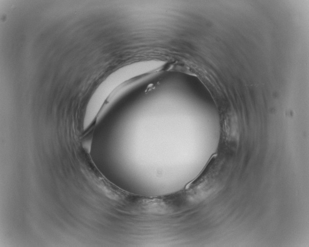 X0000075360424200609291505