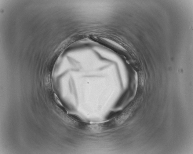 X0000075360425200609291505