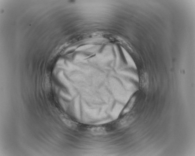 X0000075360426200609291505