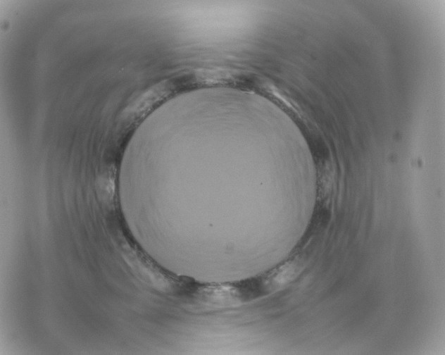 X0000075360427200609291505