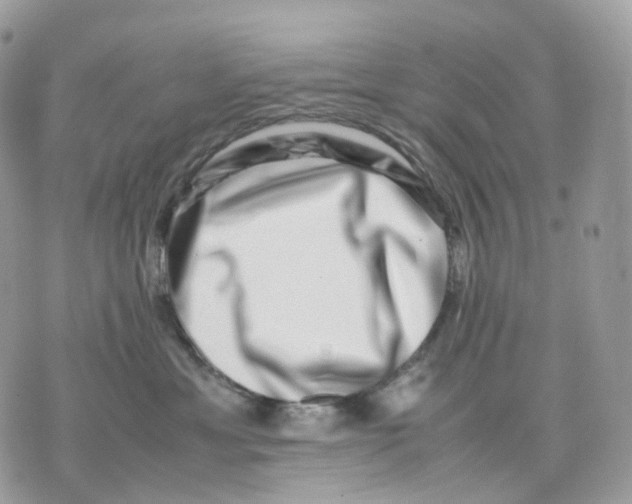 X0000075360429200609291505