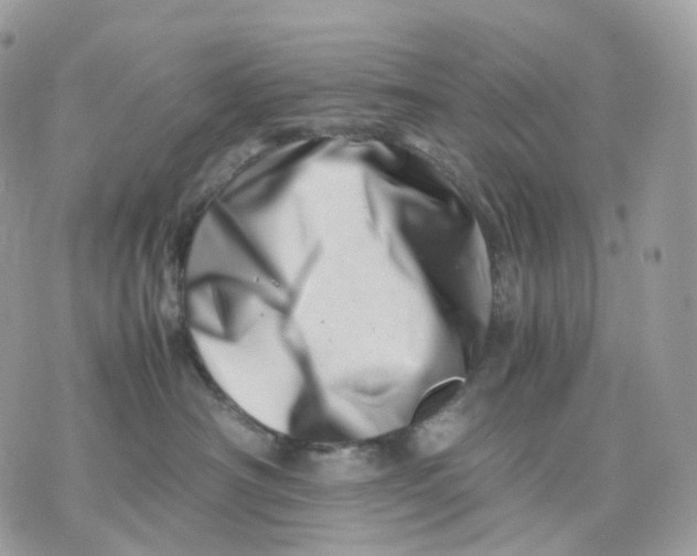 X0000075360430200609291505