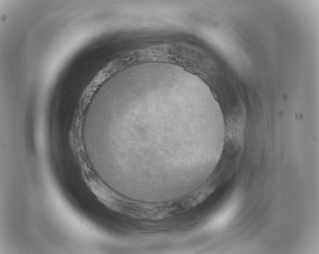 X0000075360431200609291505