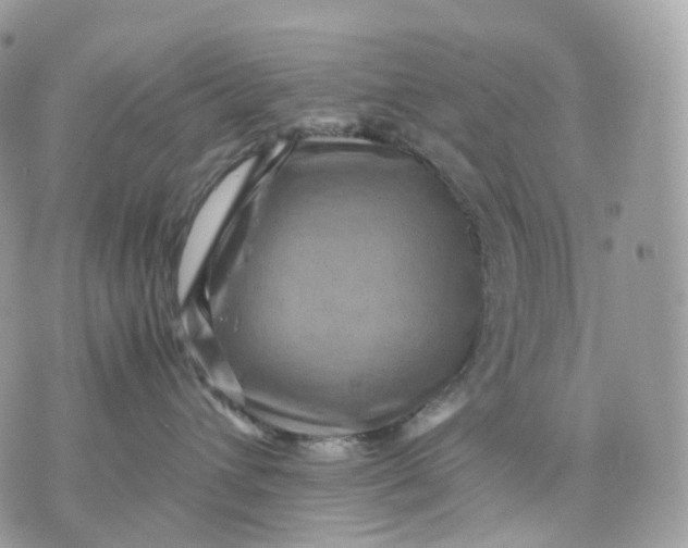 X0000075360432200609291505