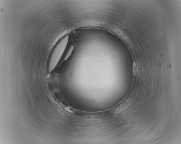 X0000075360434200609291505