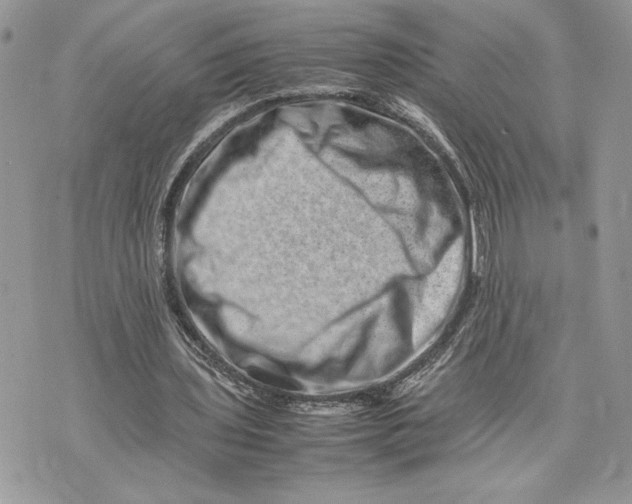 X0000075360435200609291505