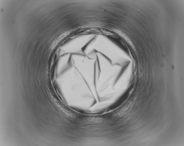 X0000075360437200609291505