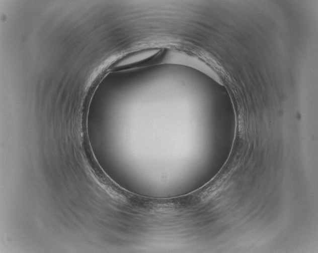 X0000075360438200609291505