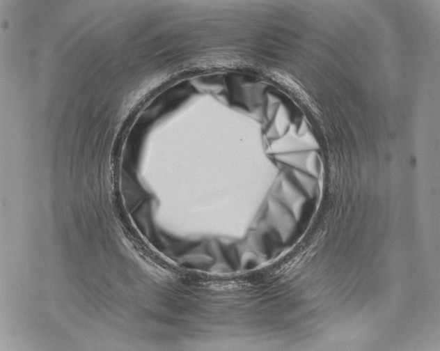 X0000075360439200609291505