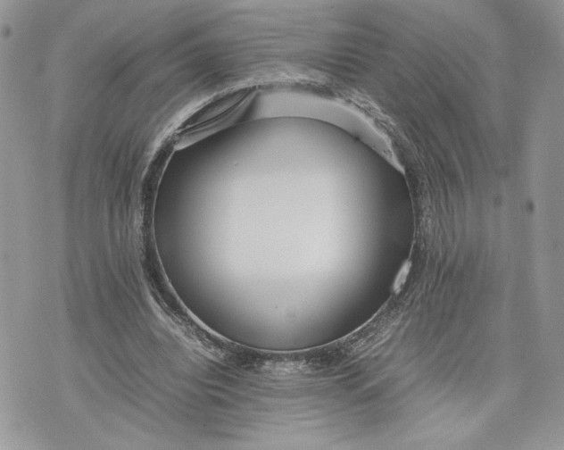 X0000075360440200609291505