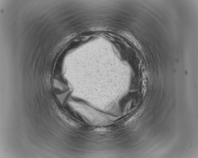 X0000075360441200609291505