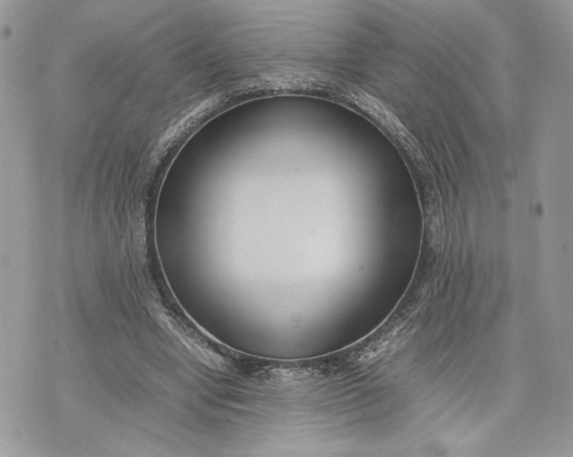 X0000075360442200609291505