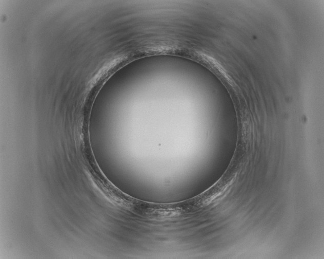 X0000075360443200609291505